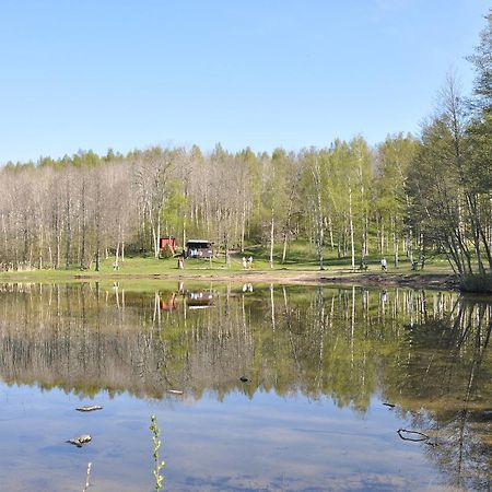Furusjoens Cottage Ånimskog Exteriér fotografie